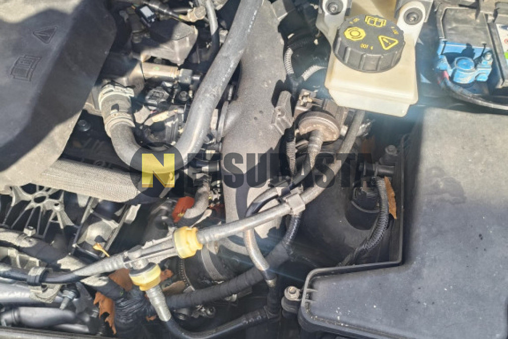 Ford Kuga 1.5 EcoBoost 4x2 2019