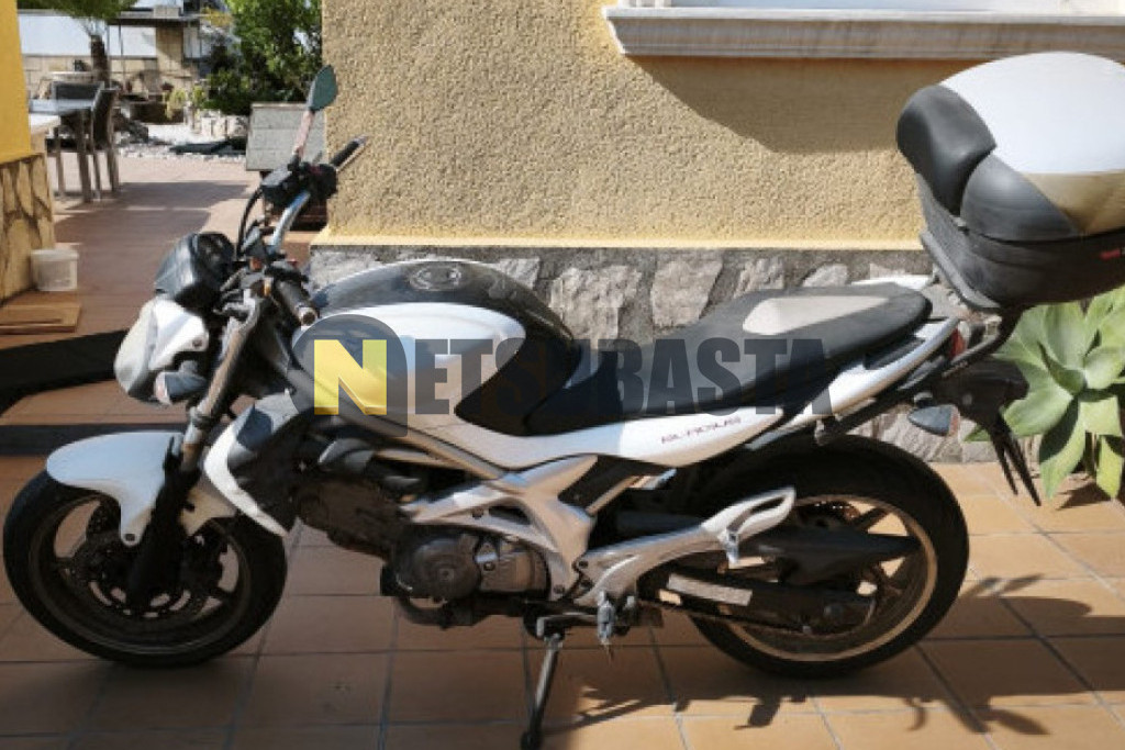 Suzuki Gladius 650 2010