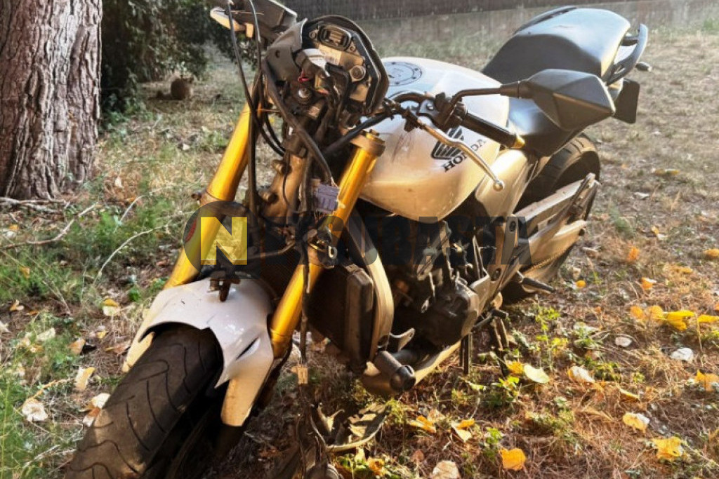 Honda CB 600F HORNET 2007