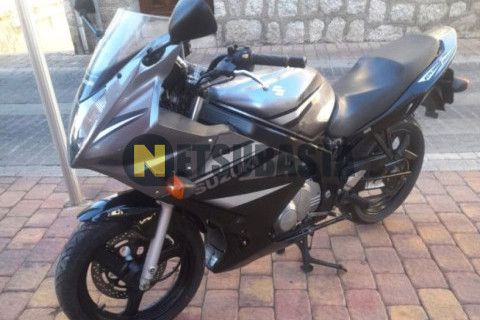 Suzuki GS 500F 2006