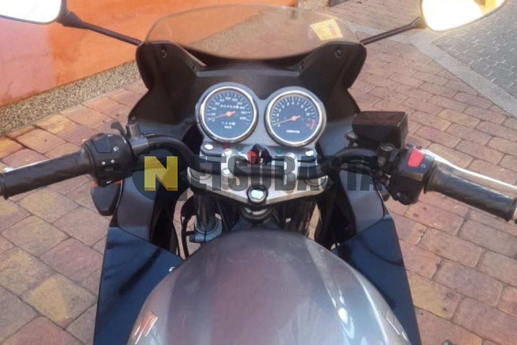 Suzuki GS 500F 2006