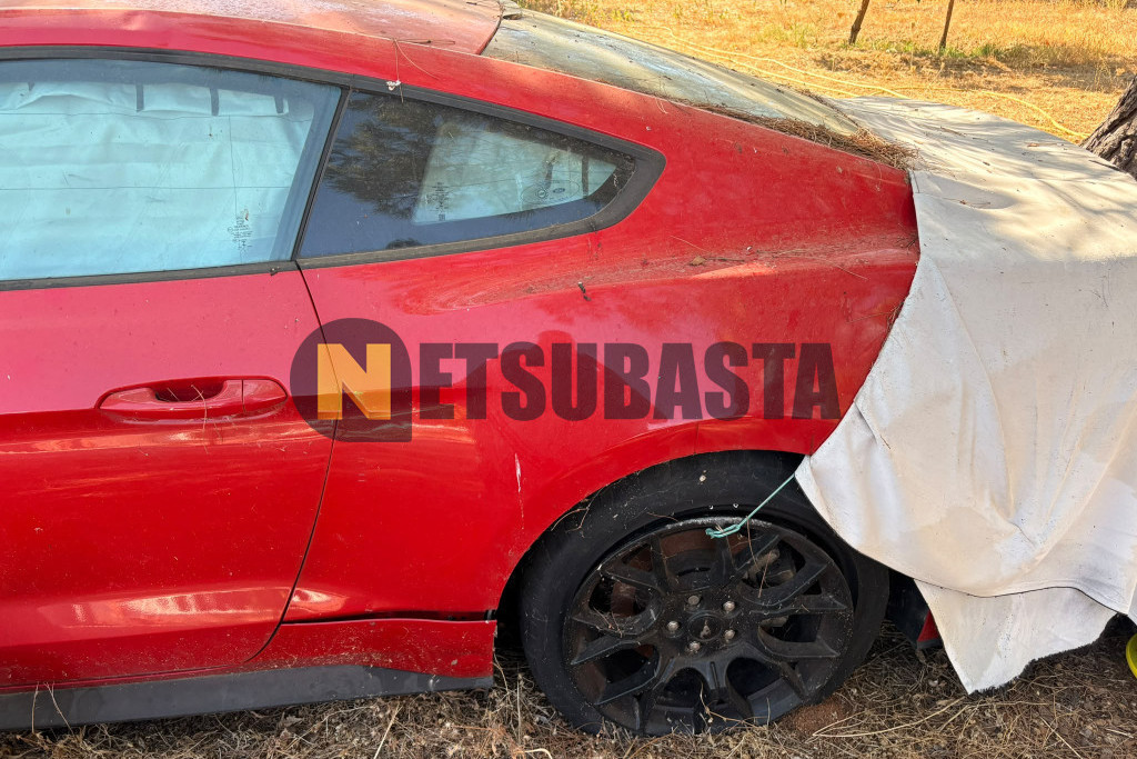 Ford Mustang Fastback 2.3 EcoBoost 2019