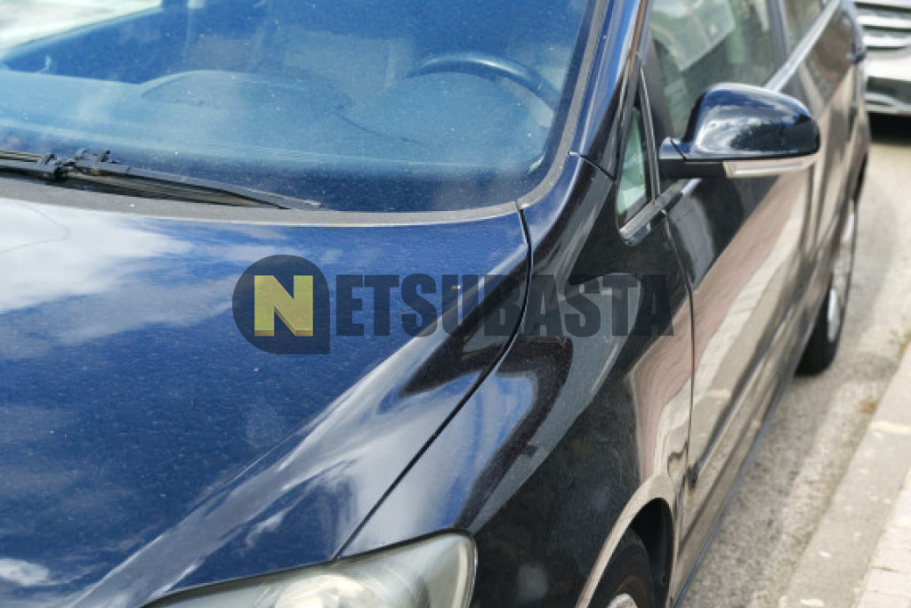 Volkswagen Golf Plus 1.9 TDI 2005
