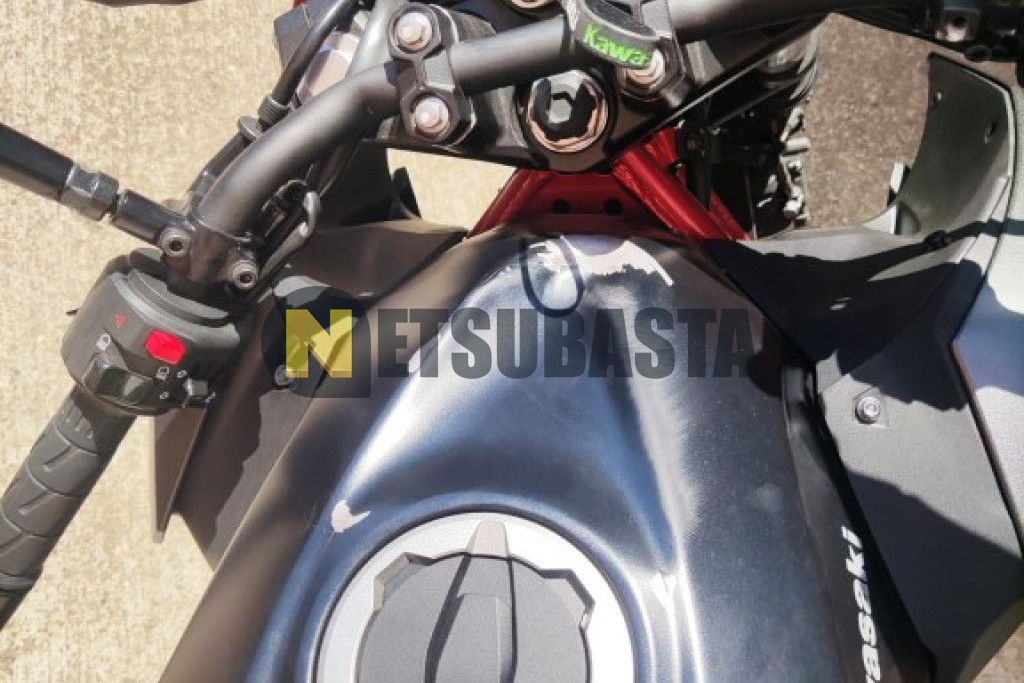Kawasaki Z 500 2024
