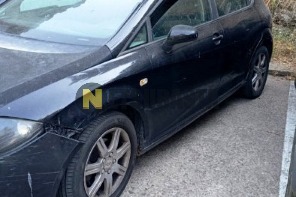 Seat Leon 1.9 TDI 2006