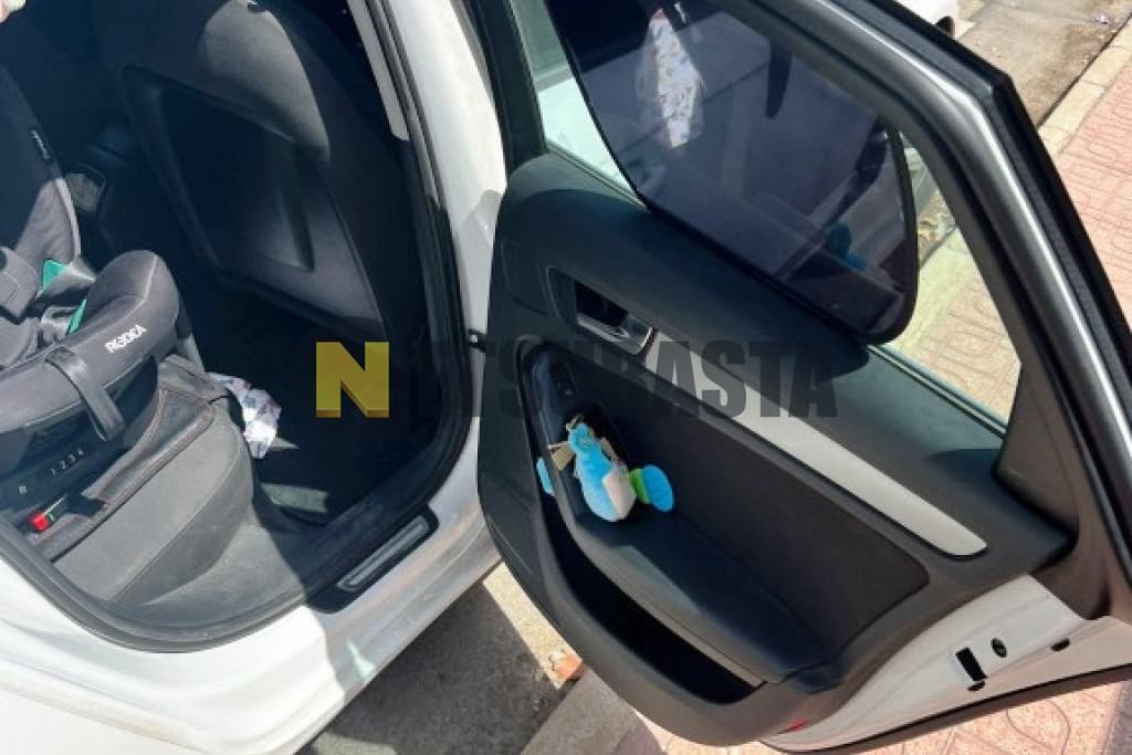 Audi A4 2.0 TDI multitronic DPF 2009