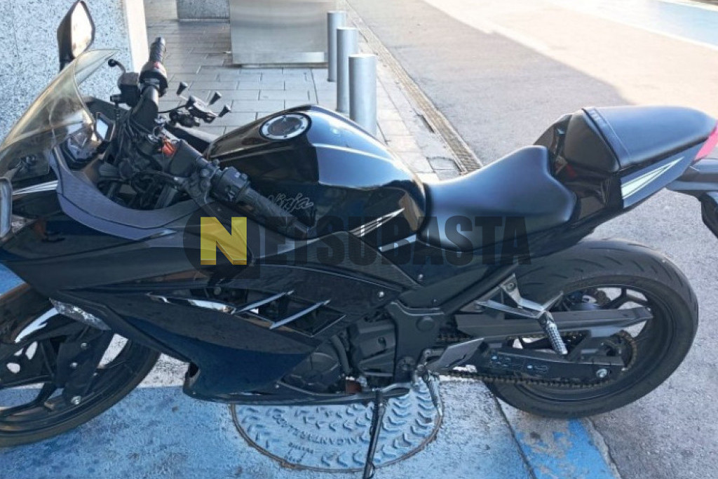 Kawasaki Ninja 300 2013