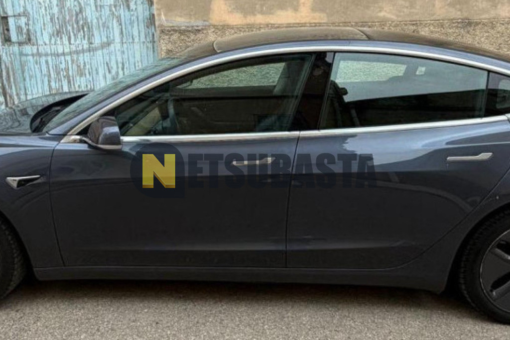 Tesla Model 3 Traccion trasera 2019