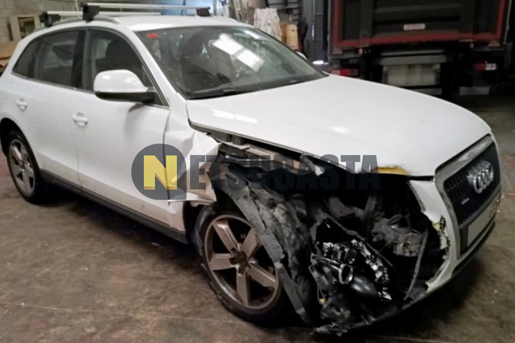 Audi Q5 2.0 TDI quattro DPF 2010