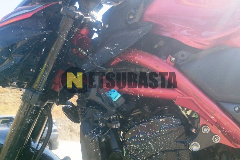 Kawasaki Z 900 Performance 2023
