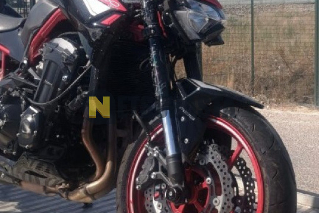 Kawasaki Z 900 Performance 2023