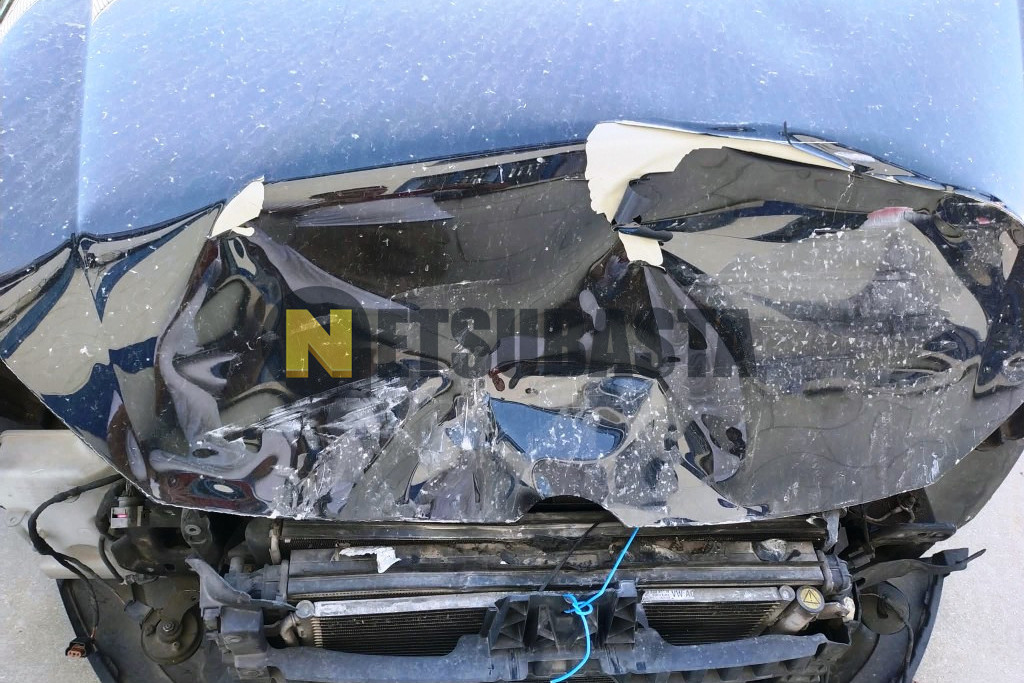 Volkswagen Golf 1.6 TDI 2010