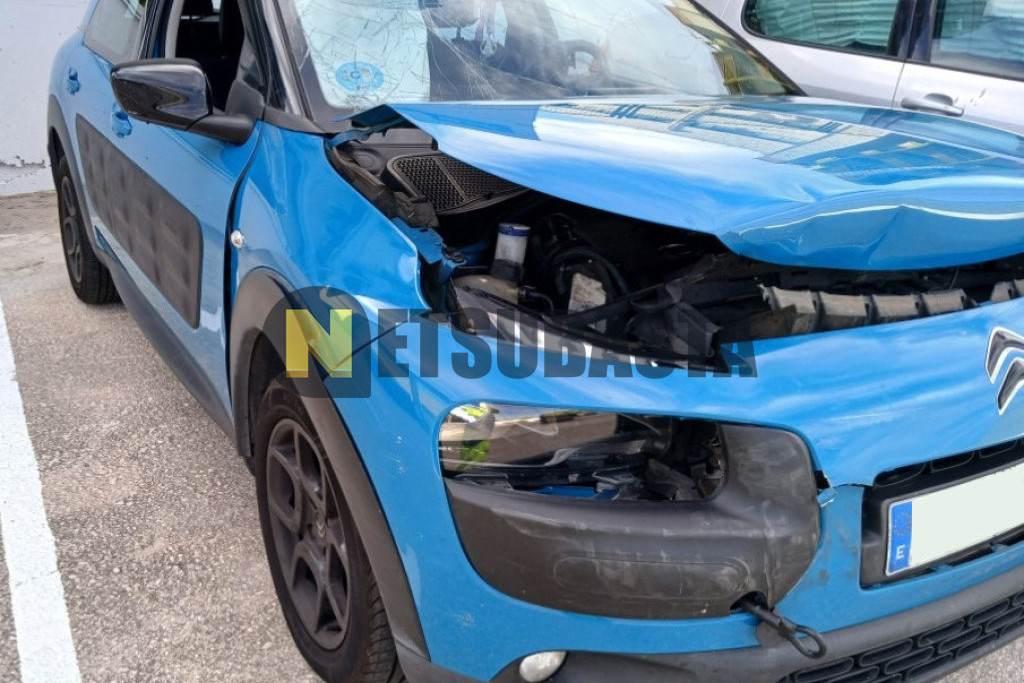 Citroën C4 Cactus 1.6 BlueHDi 2017