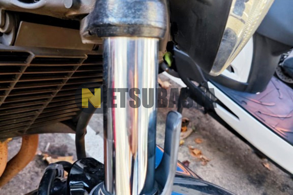 Yamaha FZS 600 Fazer 2007