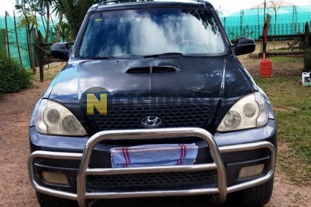 Hyundai Terracan 2.9 CRDi 2005