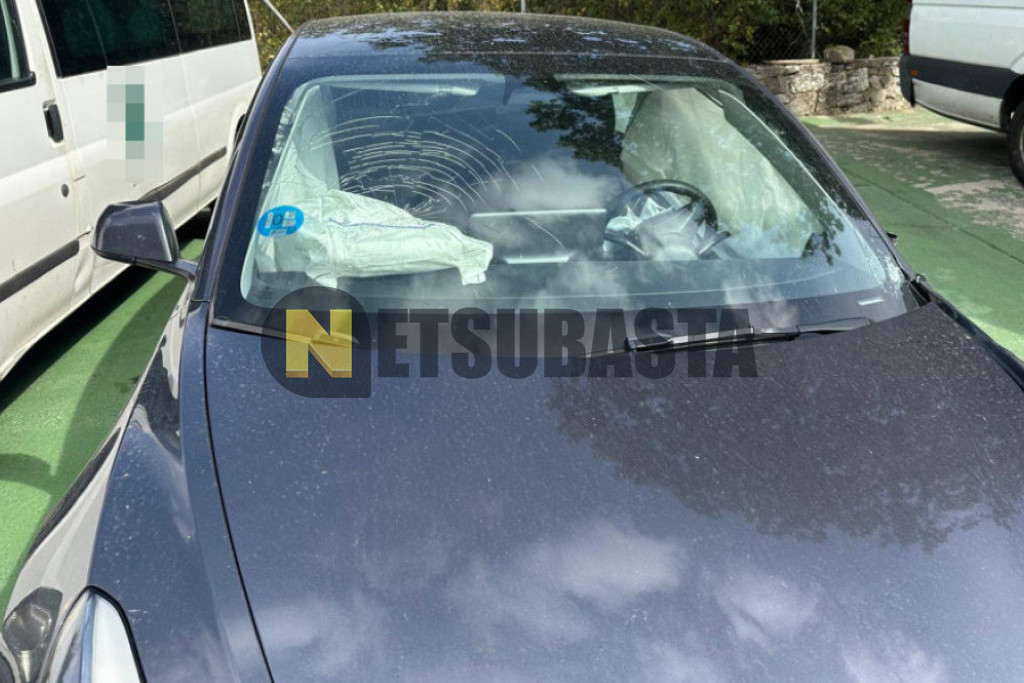 Tesla Model 3 Tracción integral Gran autonomía 2022