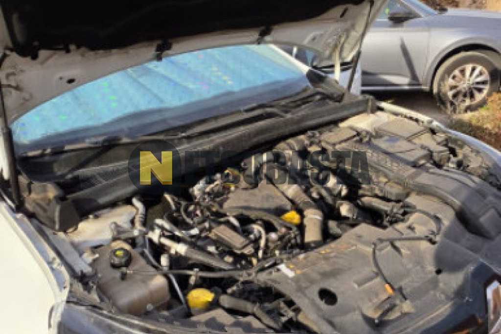Renault Mégane 1.5 dCi 2019