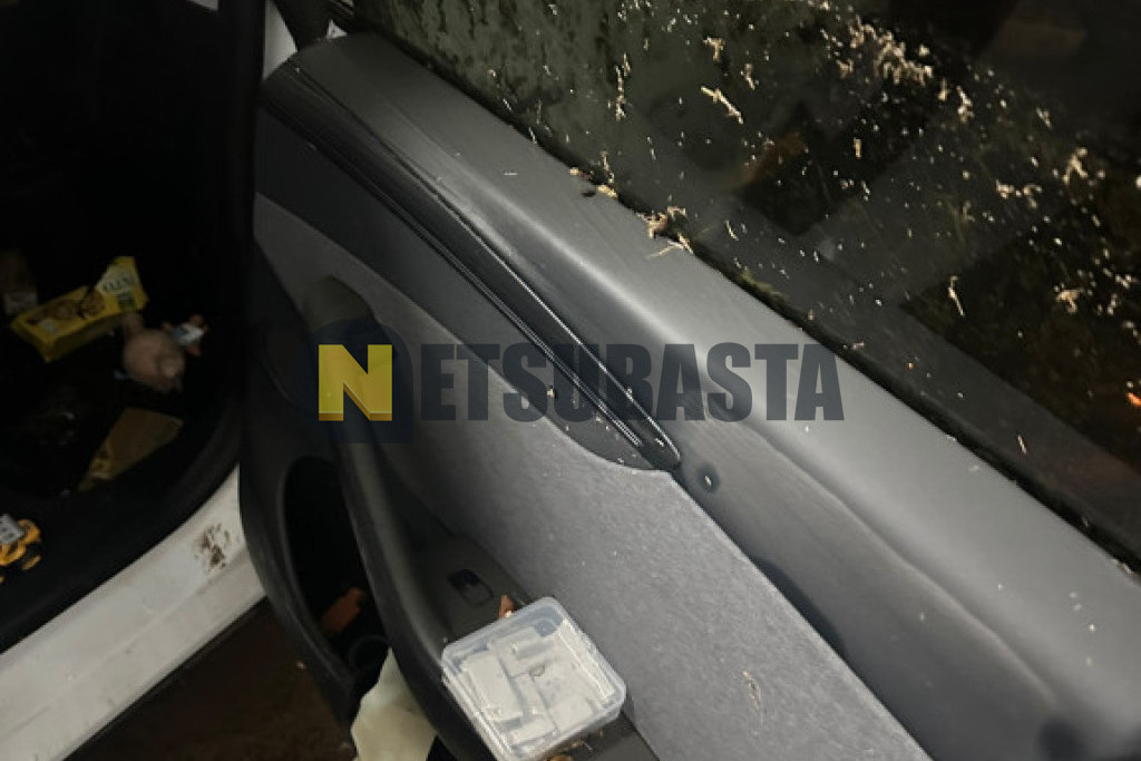 Tesla Model Y Tracción trasera 2025
