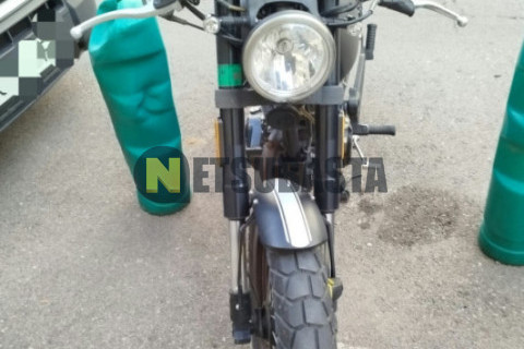 Hanway Muscle 125 2021
