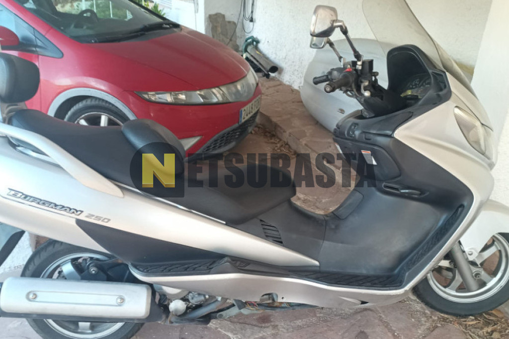 Suzuki Burgman 250 2005