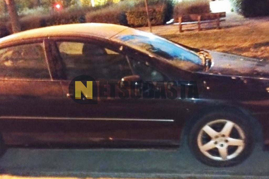 Peugeot 407 2.0 HDi FAP 2006