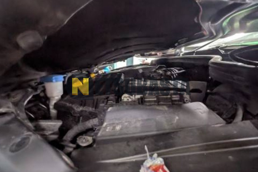 Volkswagen Golf Variant 2.0 TDI 2024