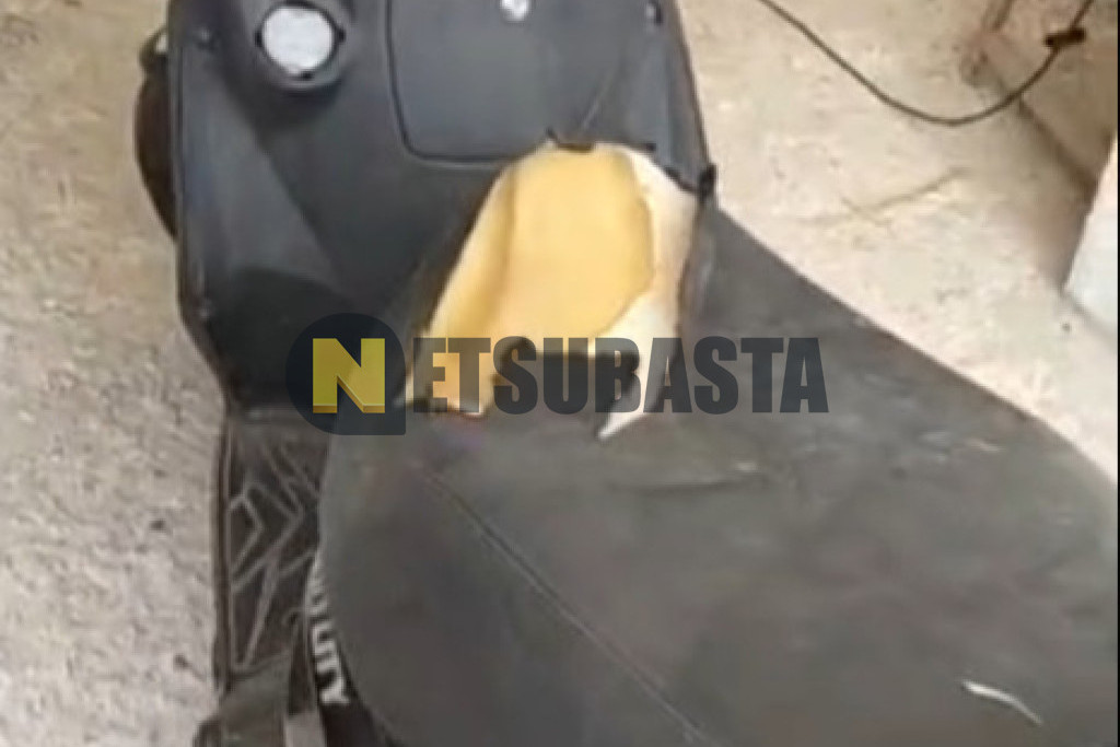 Kymco Agility CITY 125 2018